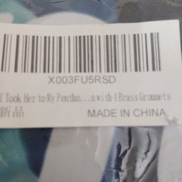 “I Took Her To My Penthouse and I Freaked It” Flag 3x5 Ft – Funny Meme Tapestry - Picture 7 of 7